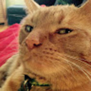 Meet your Posher, Joshua